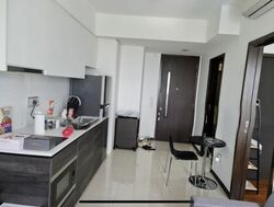 Sims Urban Oasis (D14), Condominium #503170221